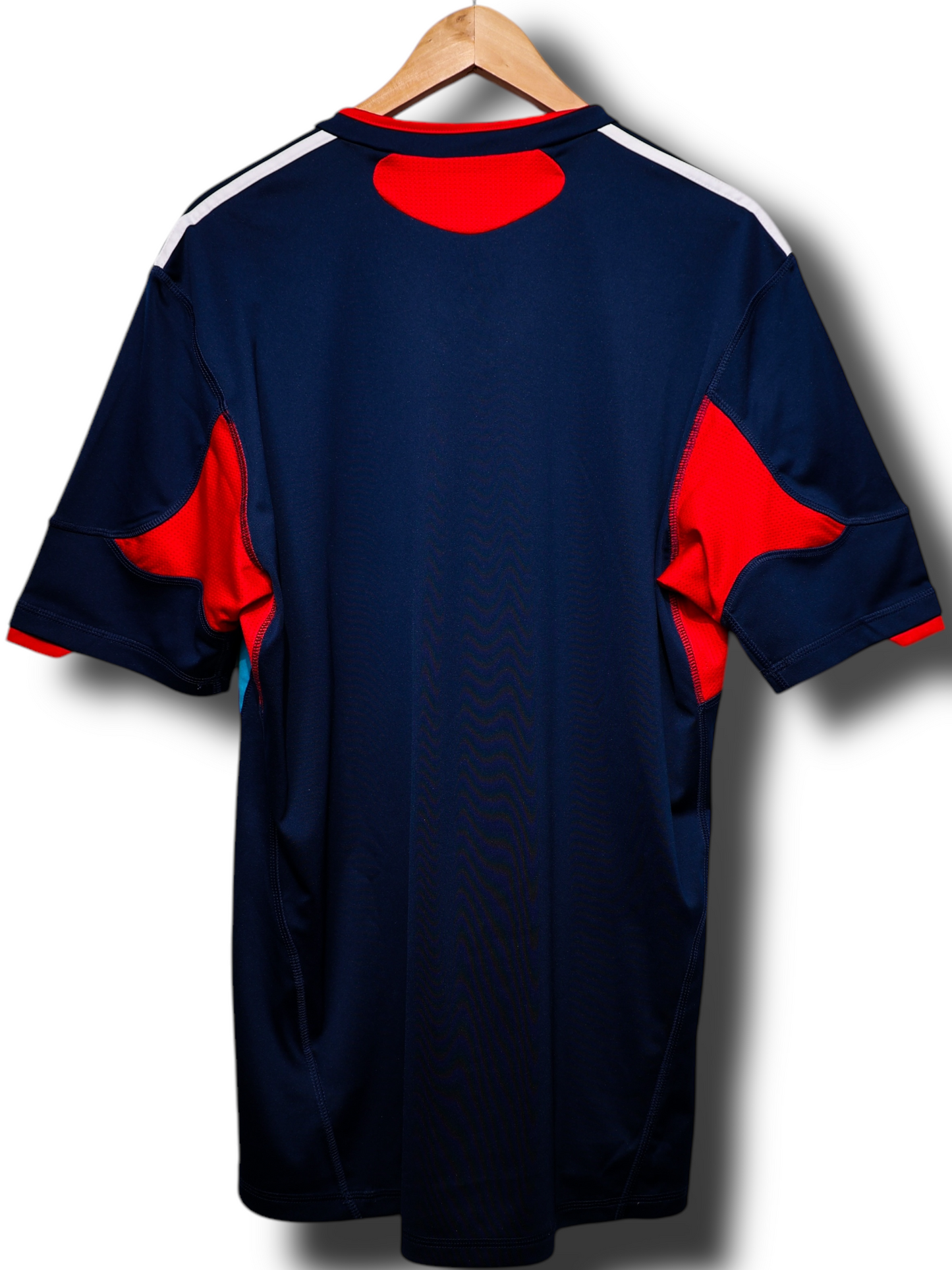 Olympique Lyon 2010/2011 3rd Shirt (L)