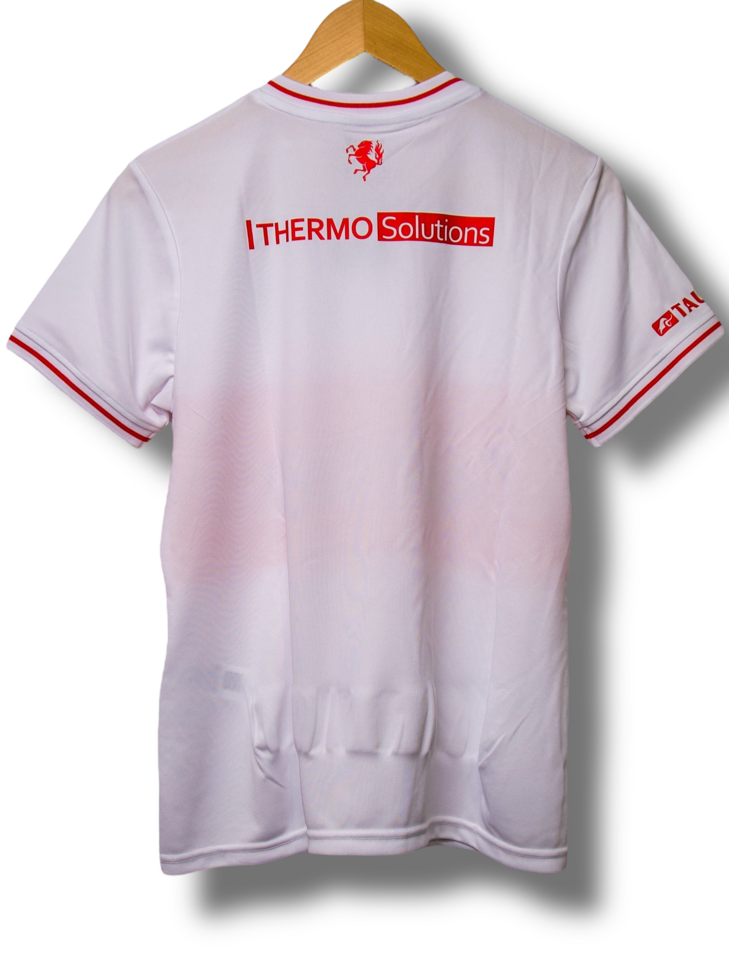FC Twente 2023/2024 3e Shirt Dames