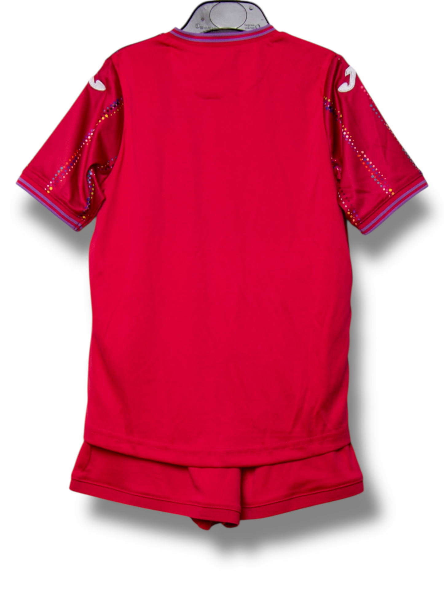 Swansea City 2023/2024 Derde Shirt (100)