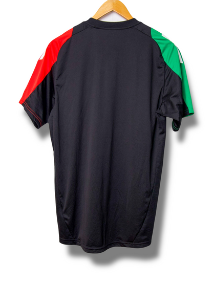 Arsenal 2024/2025 Training Shirt (M)