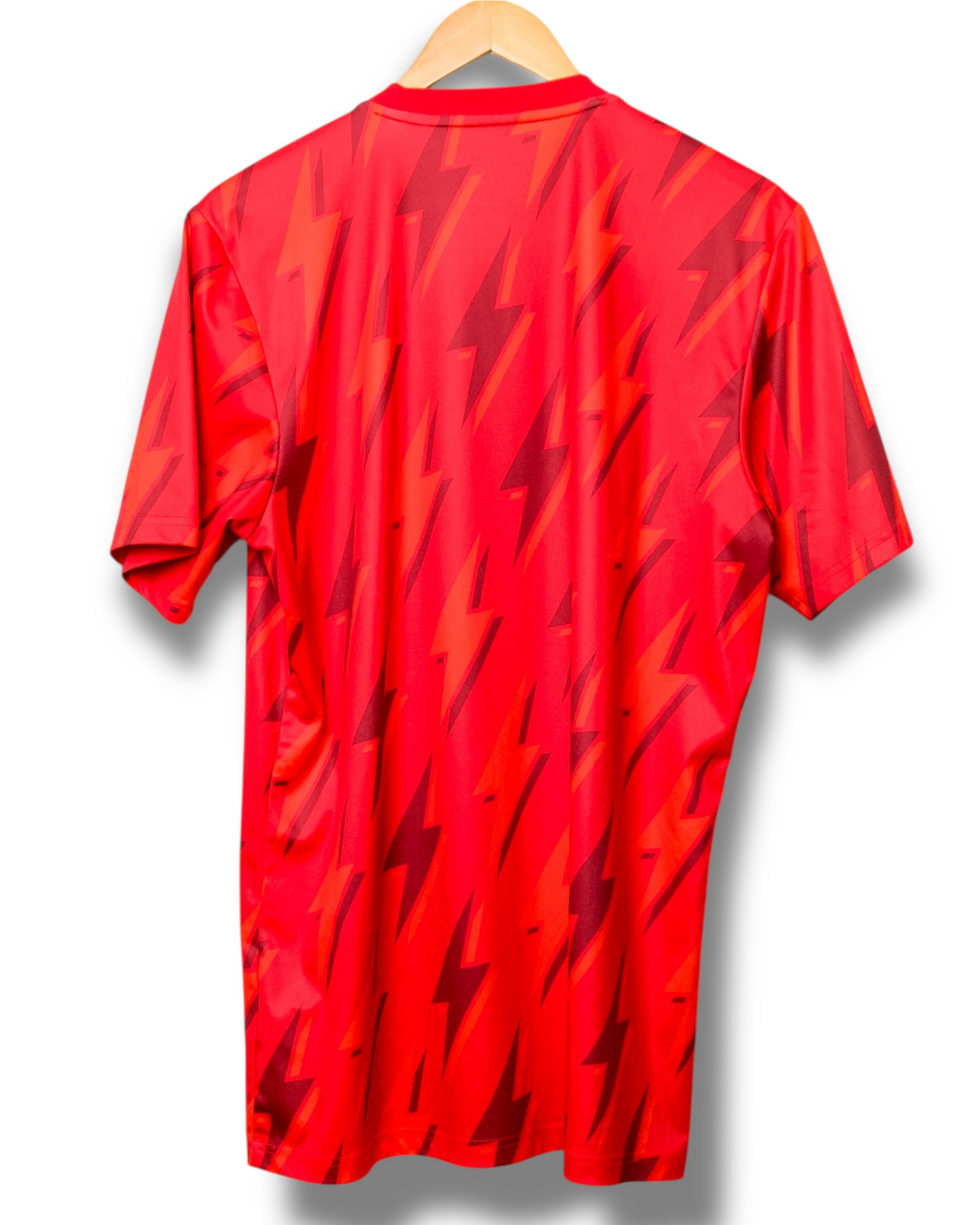 Arsenal 2023/2024 Pre Match Shirt (L)