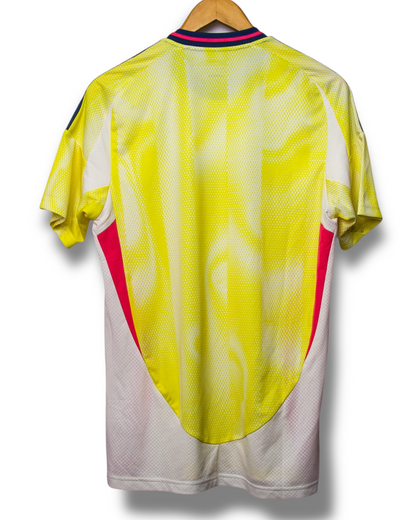 Juventus 2024/2025 Training Shirt (M)