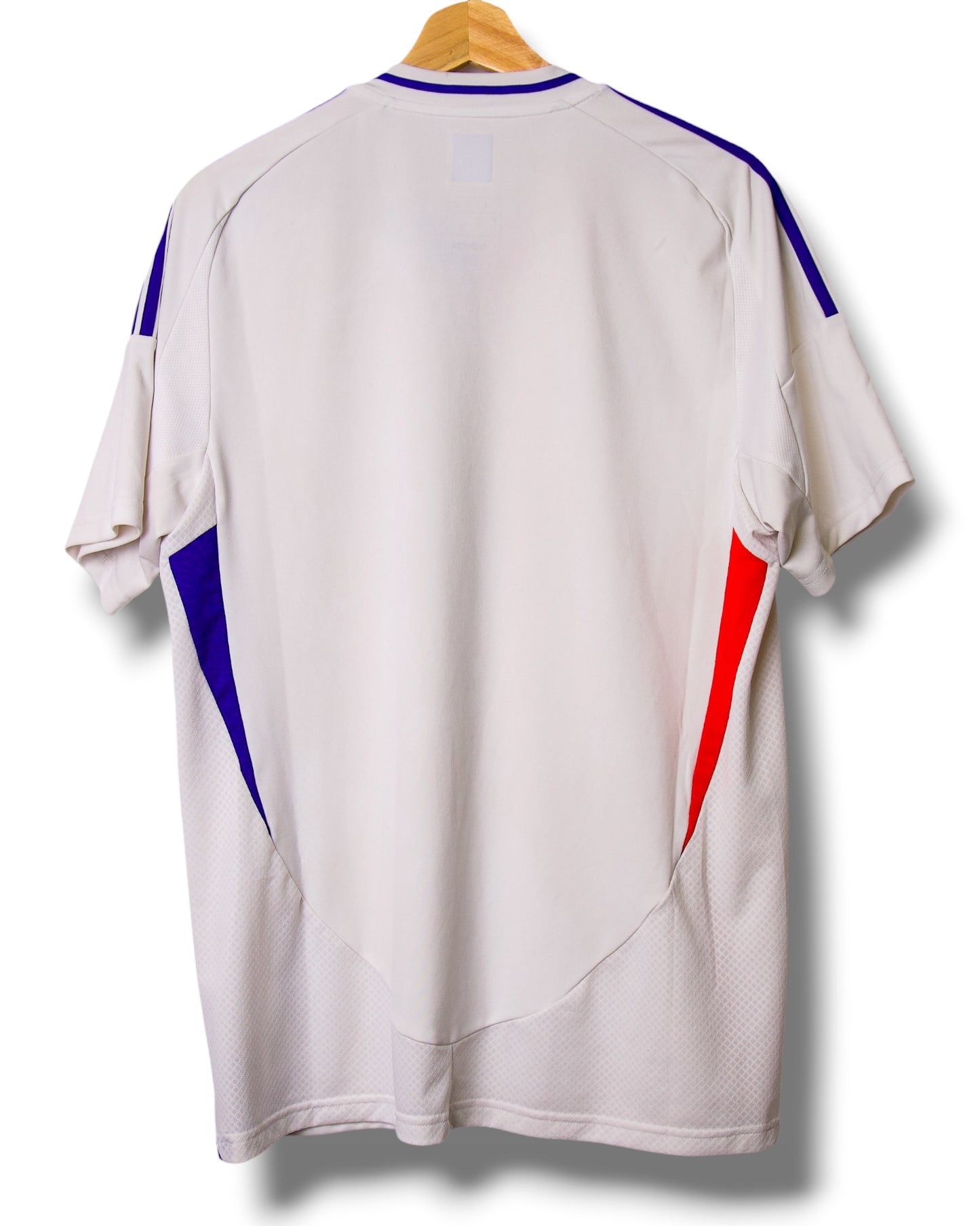 Olympique Lyon 2024/2025 Thuis Shirt (L)
