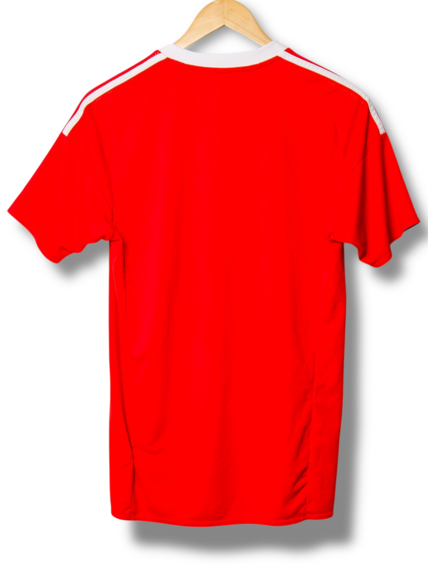Wales 2016 Thuis Shirt (S)