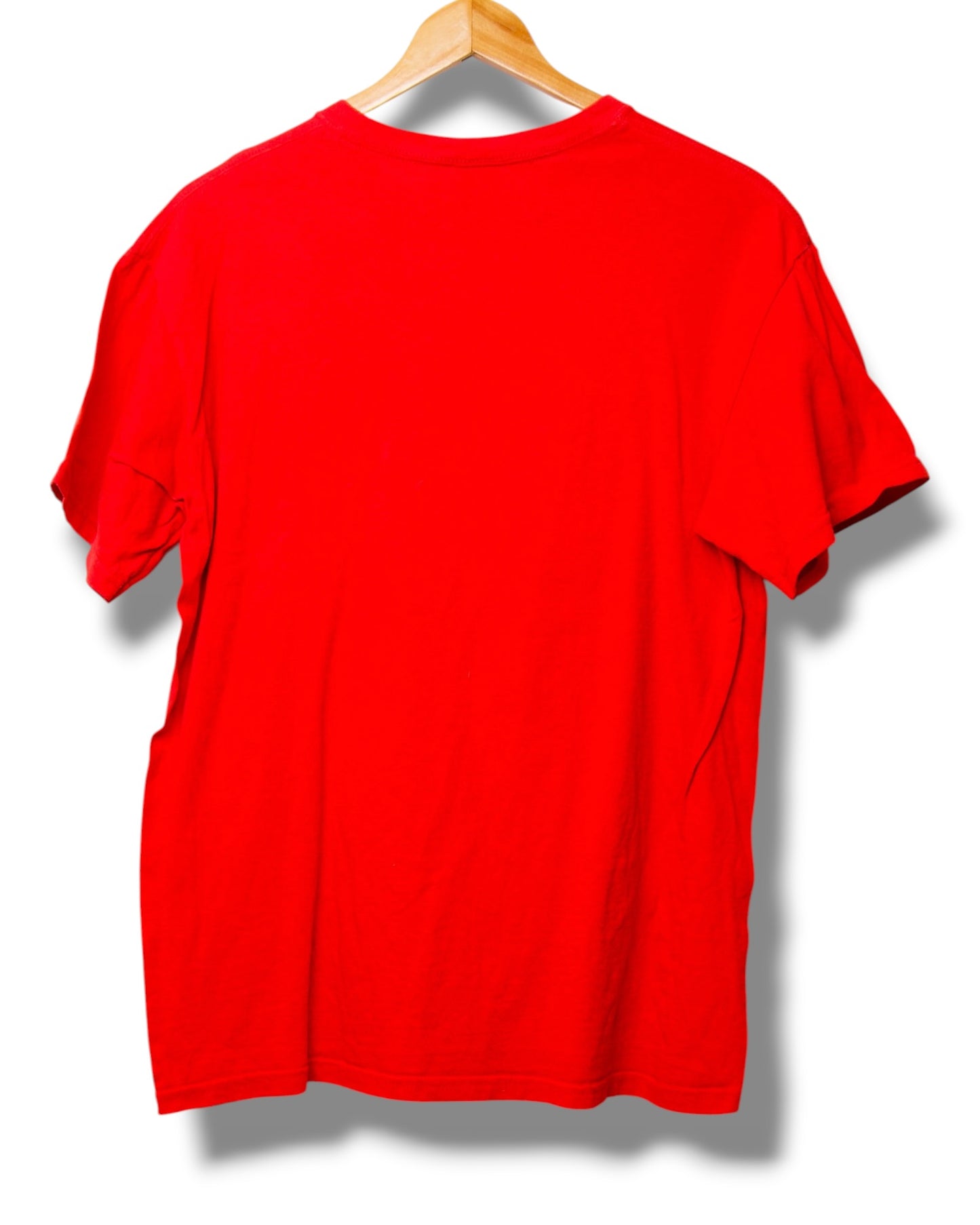 FC Twente 2010 Kampioen shirt Shirt (176)