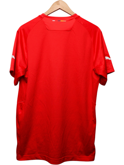 Arsenal 2014/2015 Pre-Match Shirt (L)