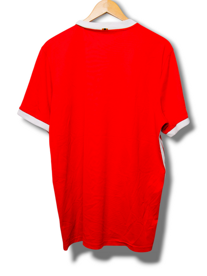 Wales 2018 Thuis Shirt (XL)