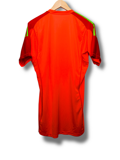 Mexico 2017/2018 Keeper Shirt (M)
