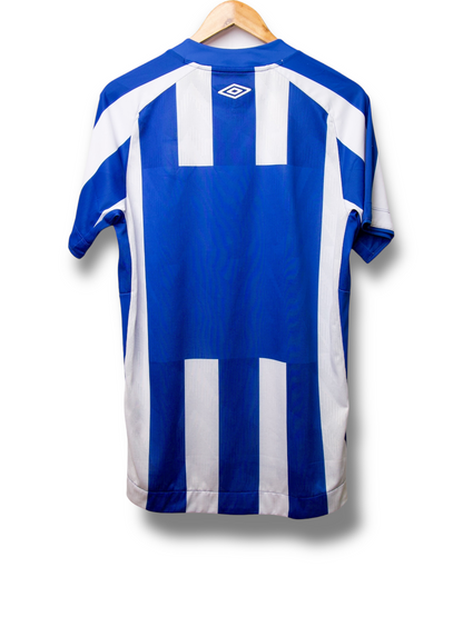 Avaí 2021/2022 Thuis Shirt (M)