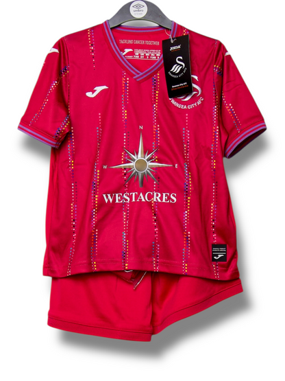 Swansea City 2023/2024 Derde Shirt (92)