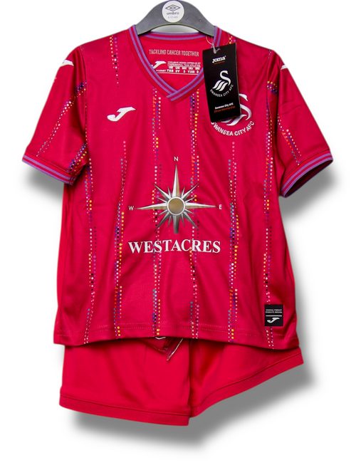 Swansea City 2023/2024 Derde Shirt (92)