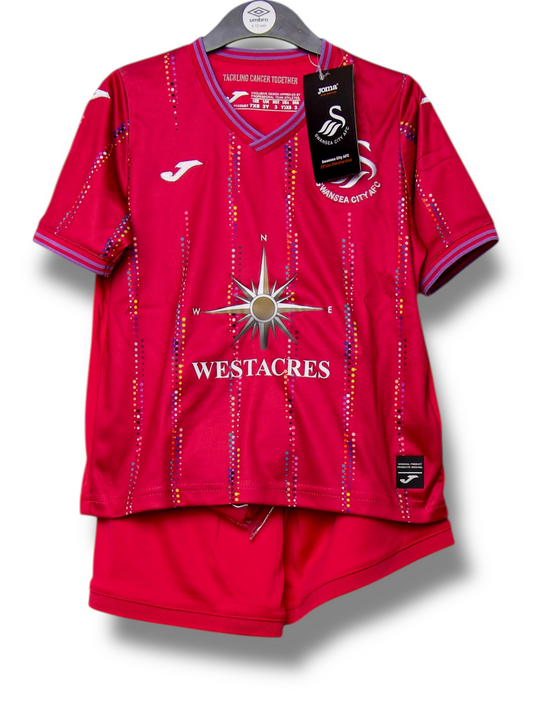 Swansea City 2023/2024 Derde Shirt (92)