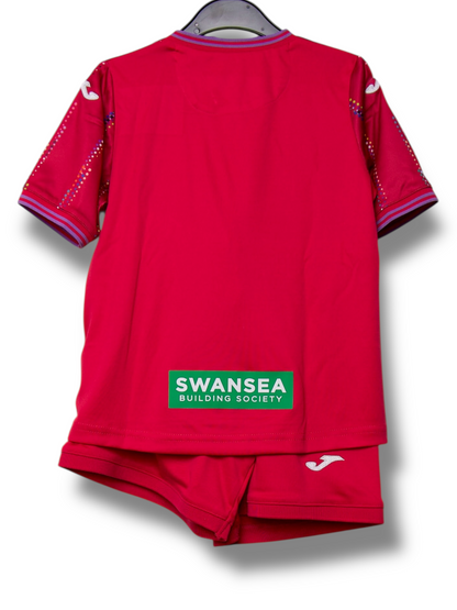 Swansea City 2023/2024 Derde Shirt (92)