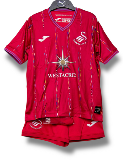 Swansea City 2023/2024 Derde Shirt (100)