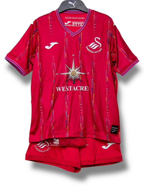 Swansea City 2023/2024 Derde Shirt (100)