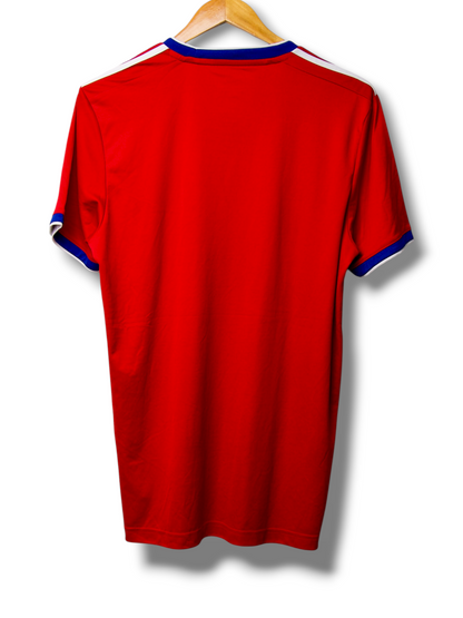 Olympique Lyon 2019/2020 Derde Shirt (M)