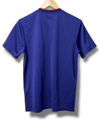 Japan 2019 Thuis Shirt (M)