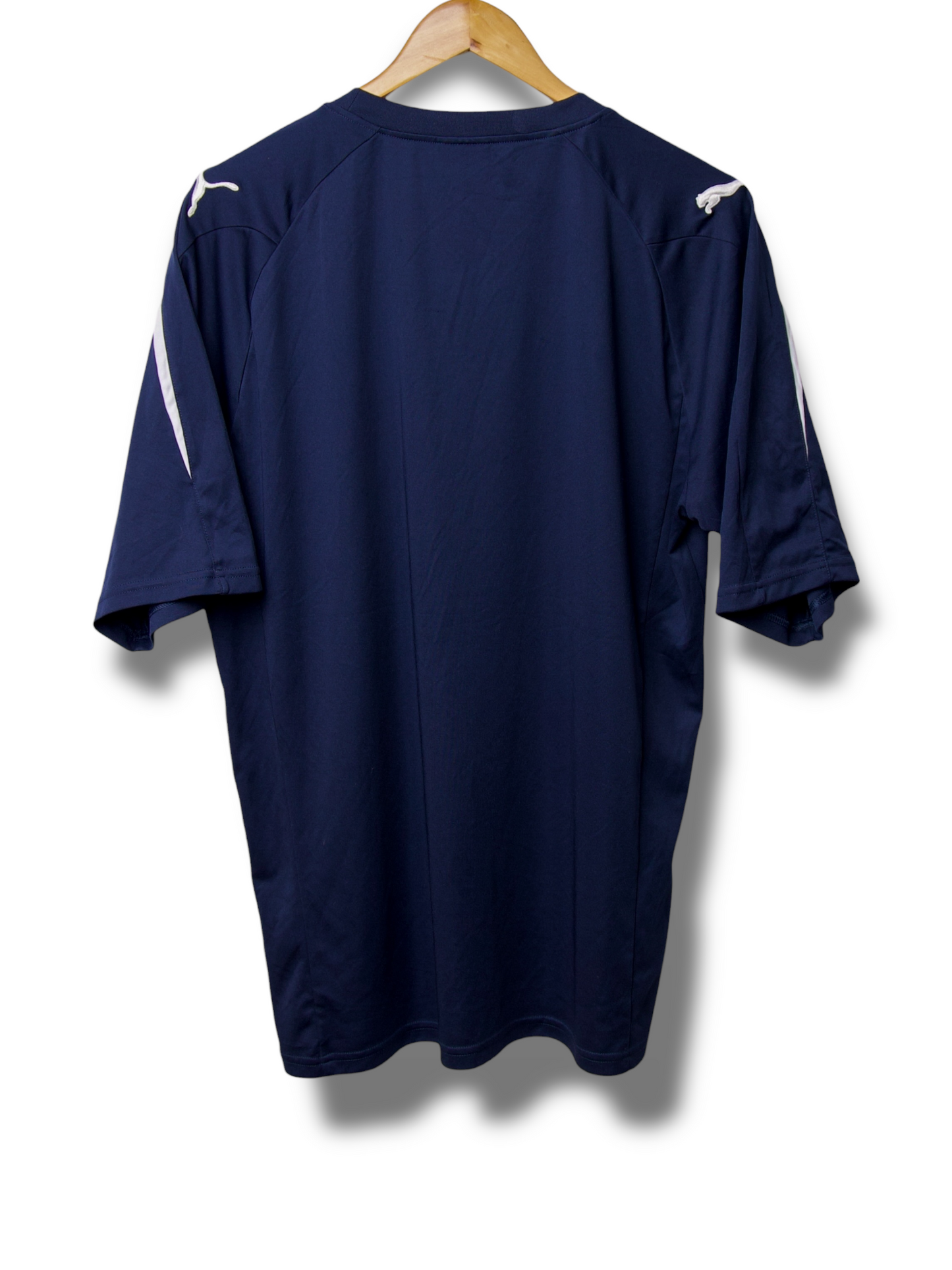 Cardiff City 2010/2011 Training Shirt (L)