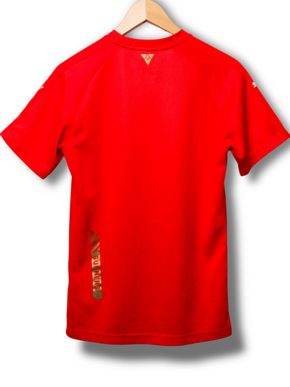 Arsenal 2015/2016 Training Shirt (S)
